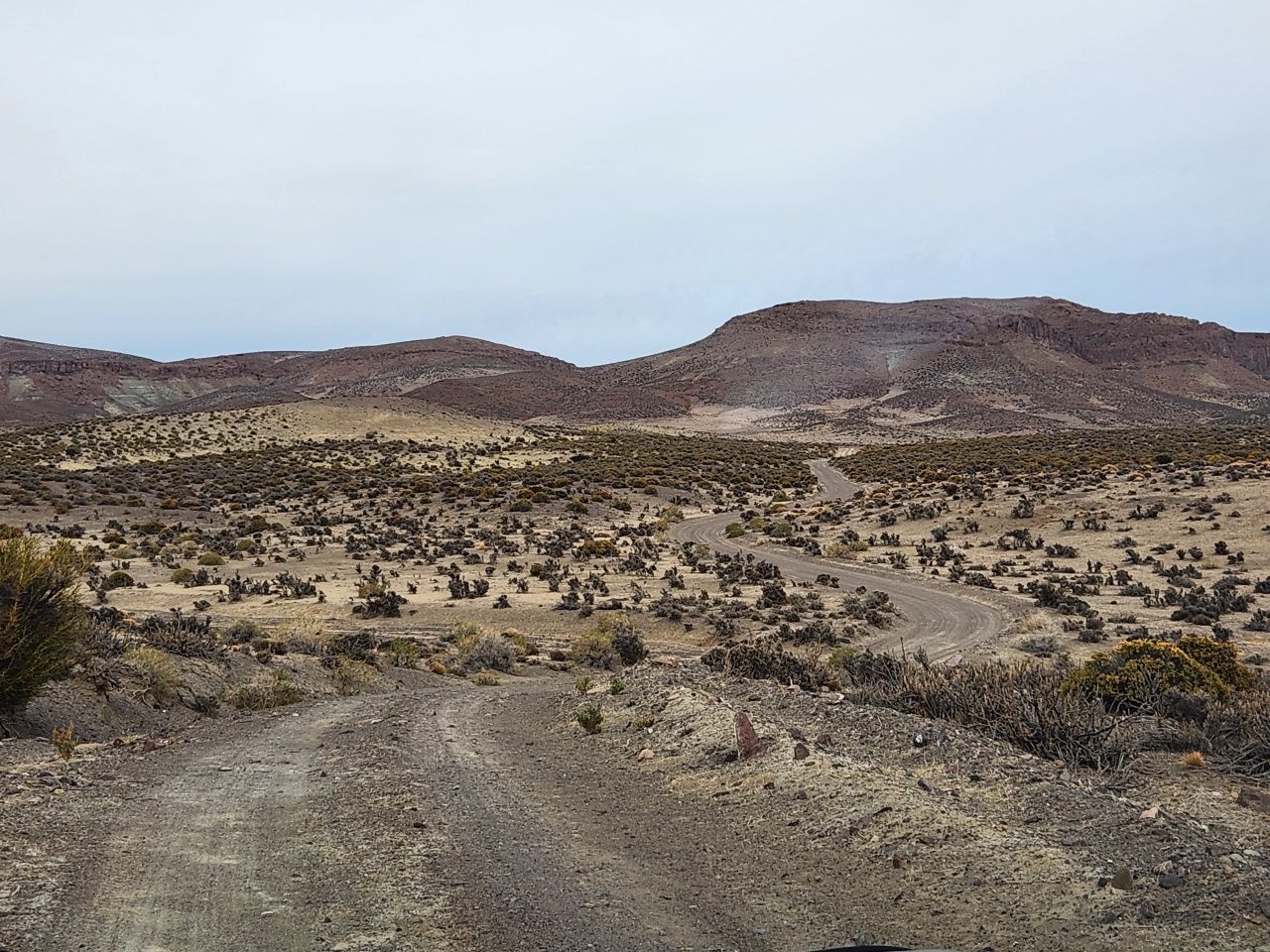 Campo EN VENTA