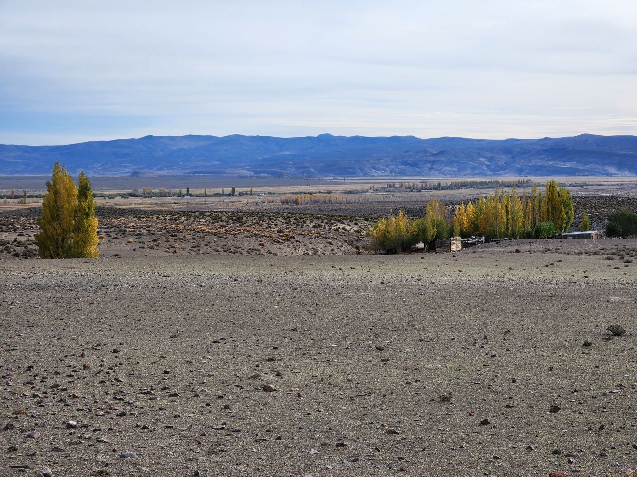 VENTA DE CAMPO EN Gualjaina - 29