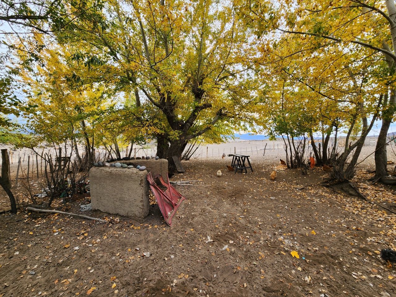 VENTA DE CAMPO EN Gualjaina - 33
