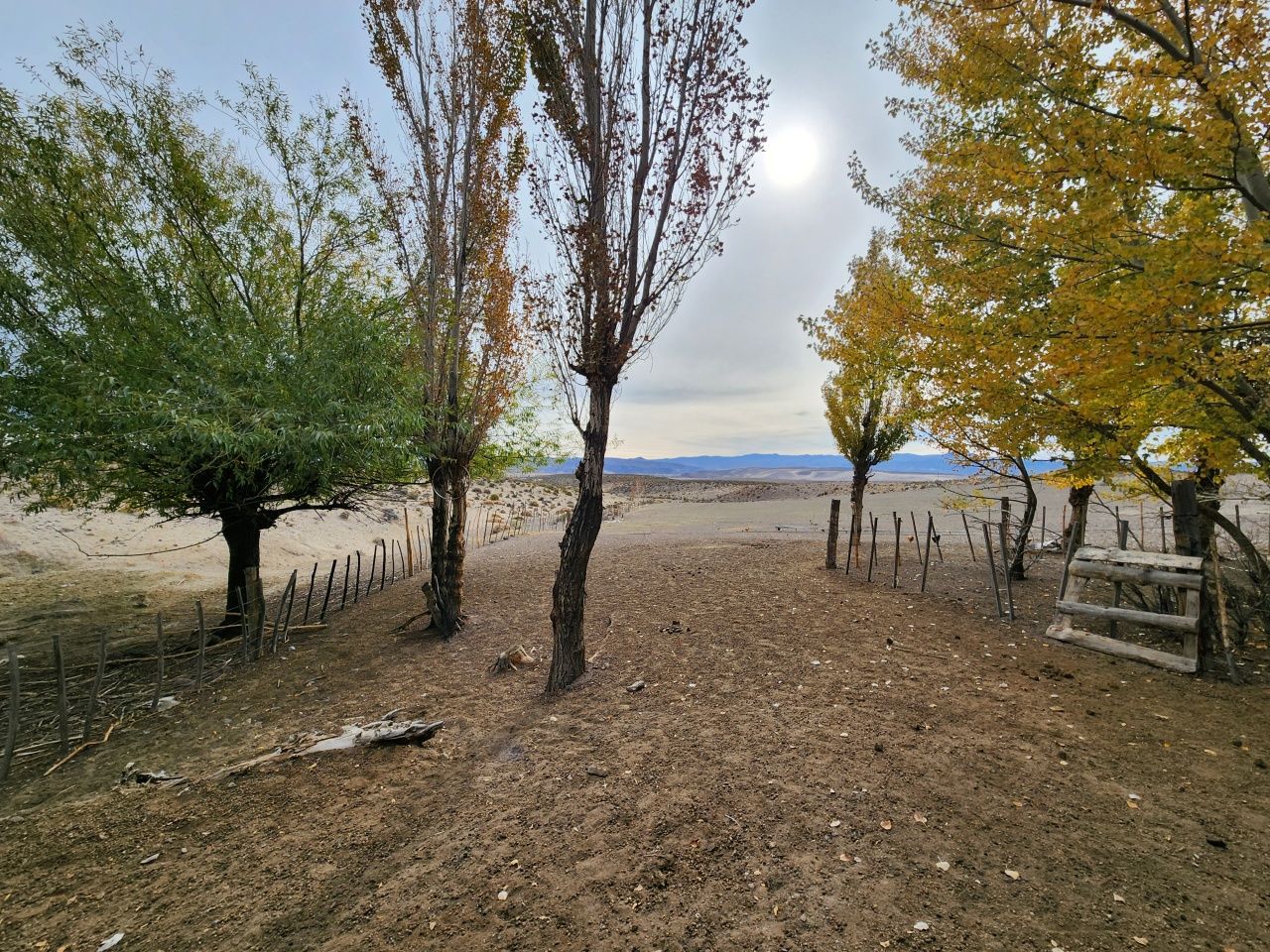 VENTA DE CAMPO EN Gualjaina - 34