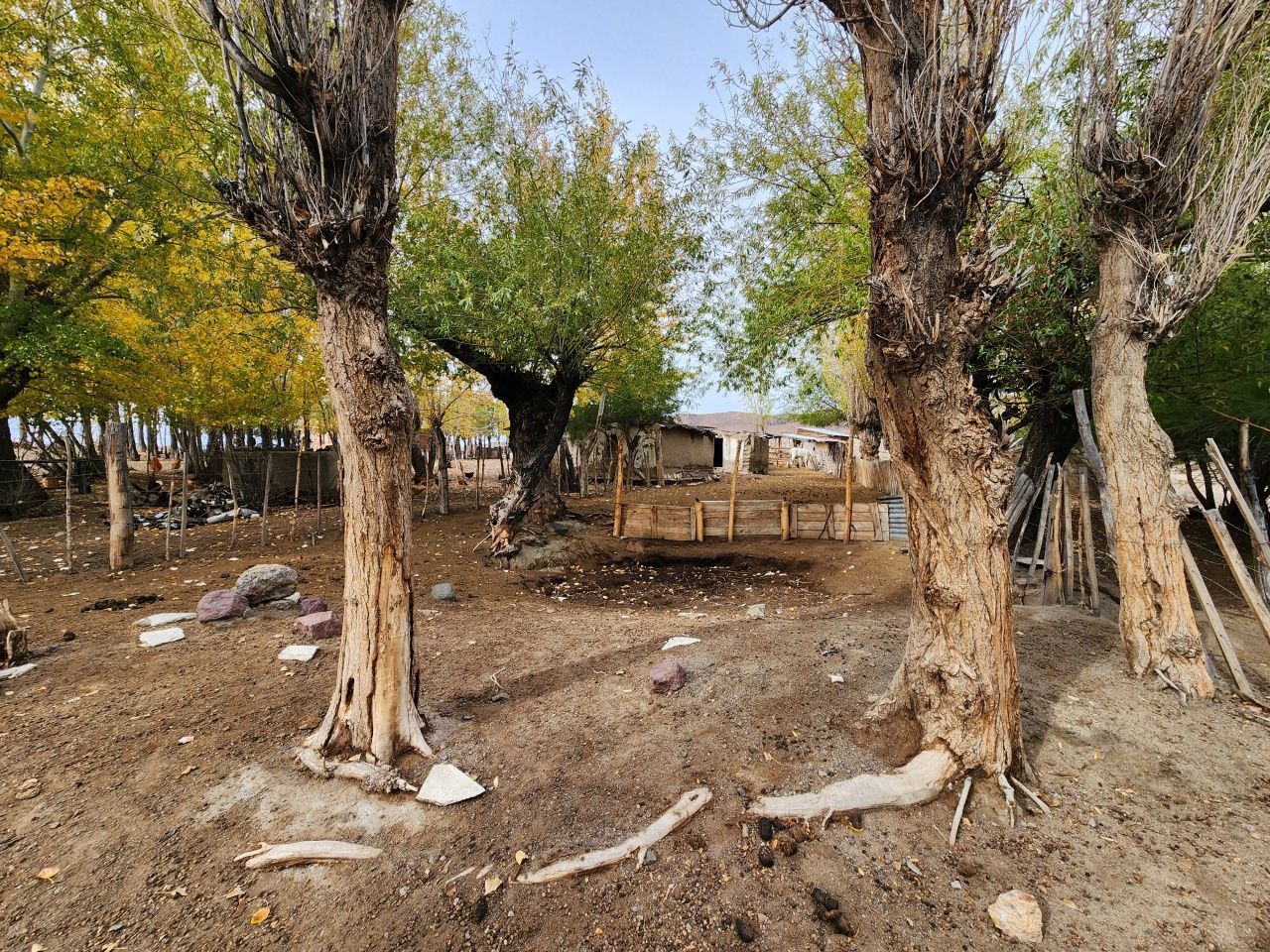 VENTA DE CAMPO EN Gualjaina - 35