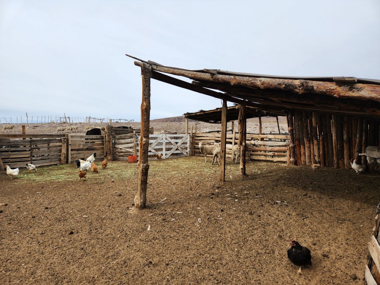 VENTA DE CAMPO EN Gualjaina - 36