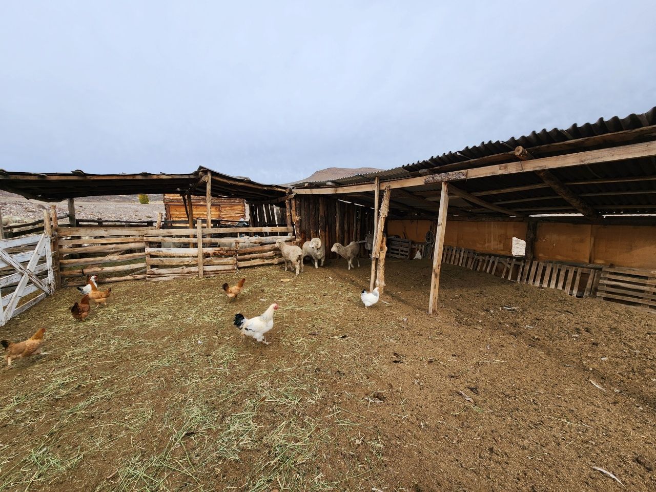 VENTA DE CAMPO EN Gualjaina - 37