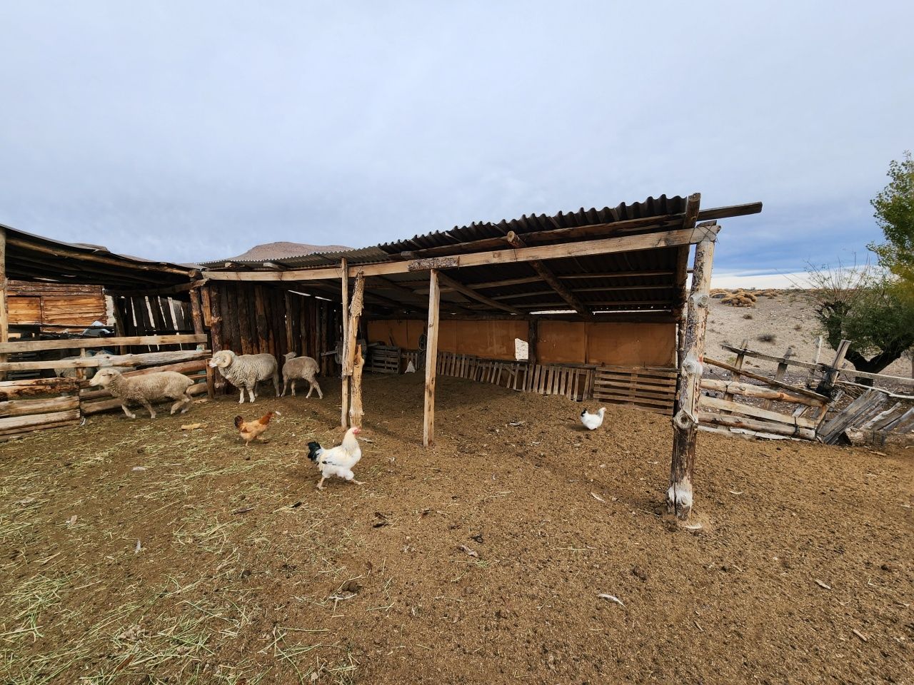 VENTA DE CAMPO EN Gualjaina - 38