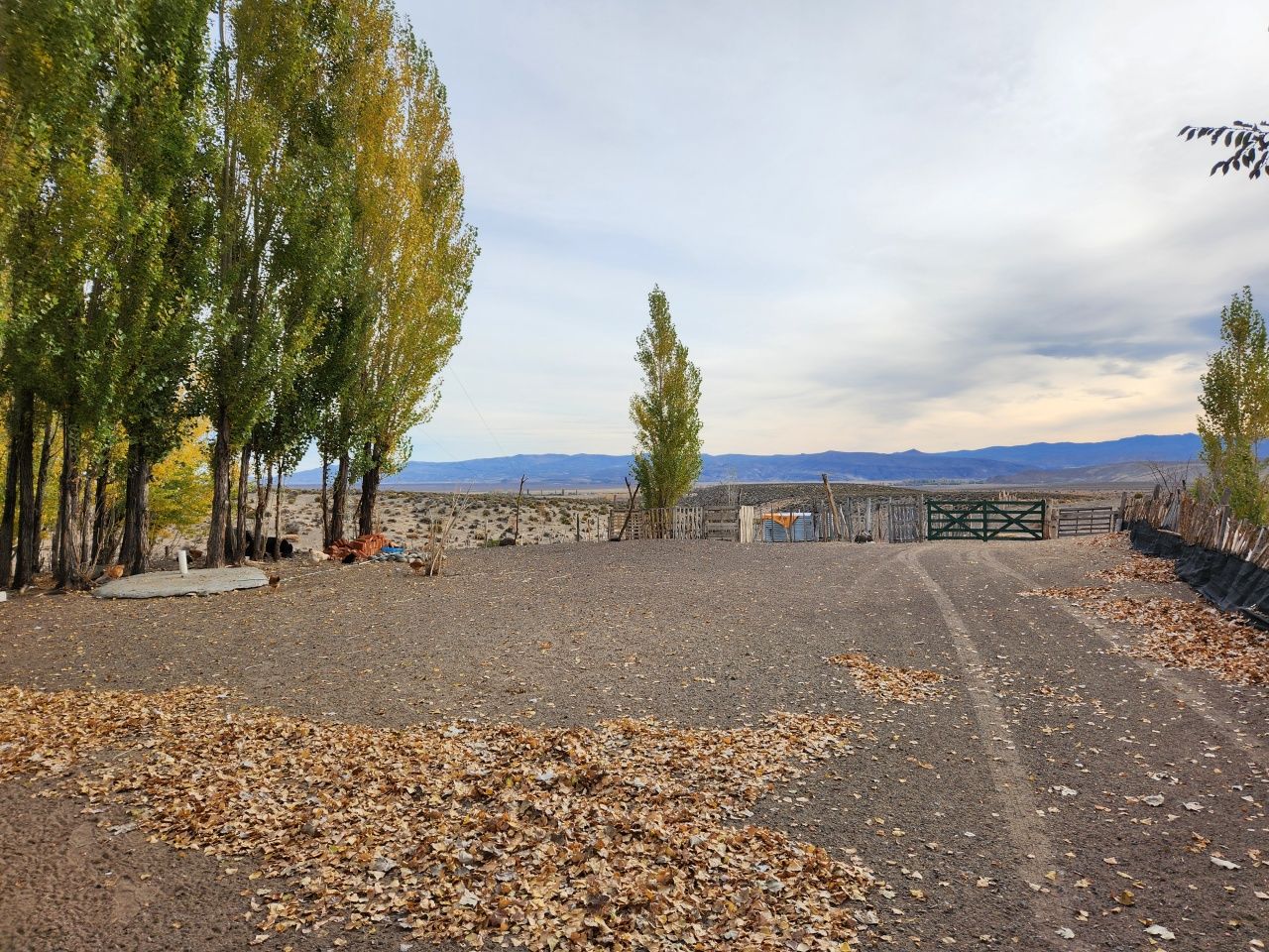 Campo EN VENTA