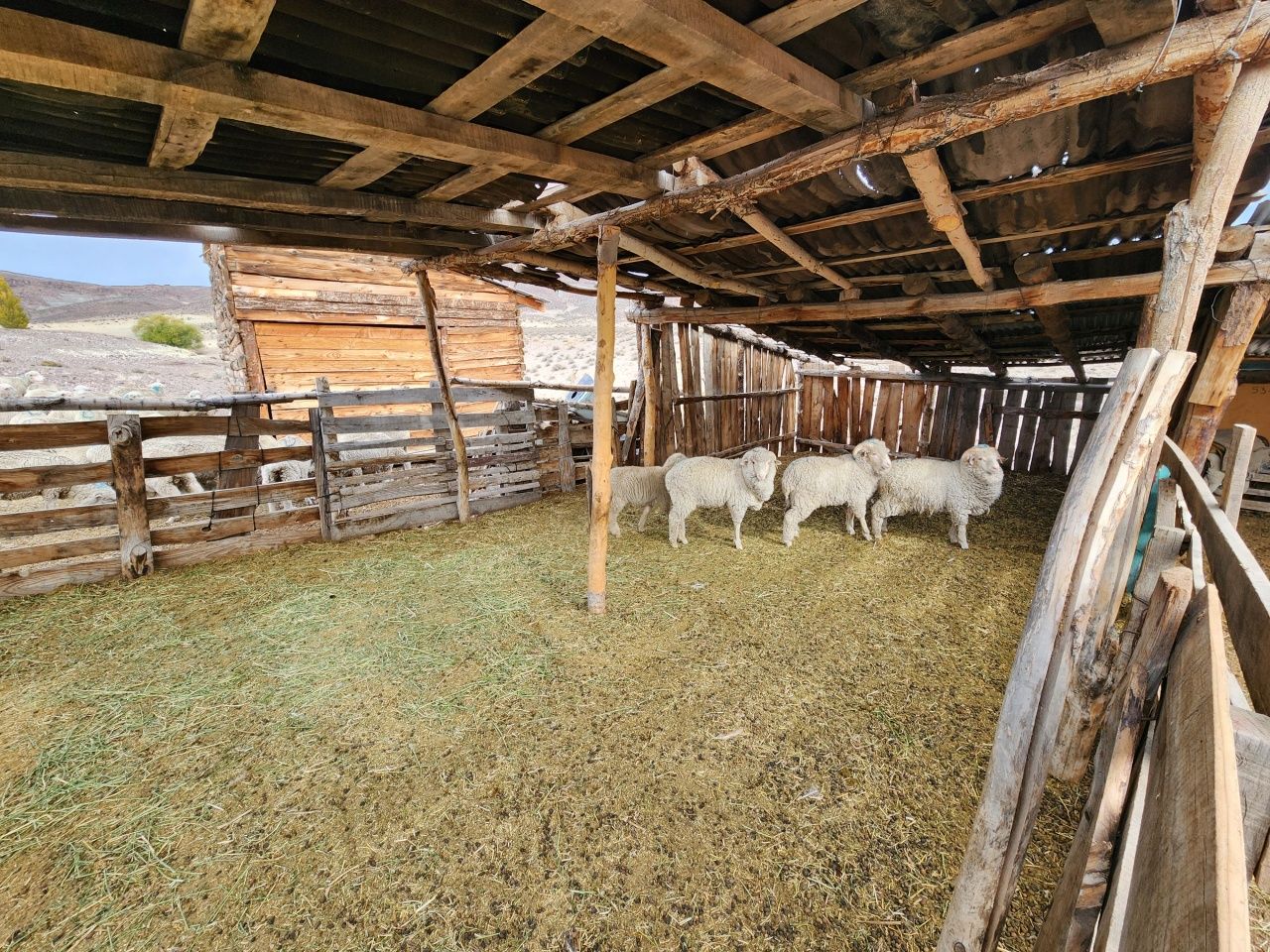 VENTA DE CAMPO EN Gualjaina - 39