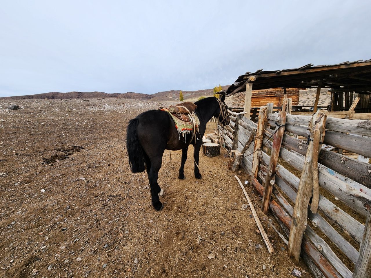 VENTA DE CAMPO EN Gualjaina - 40