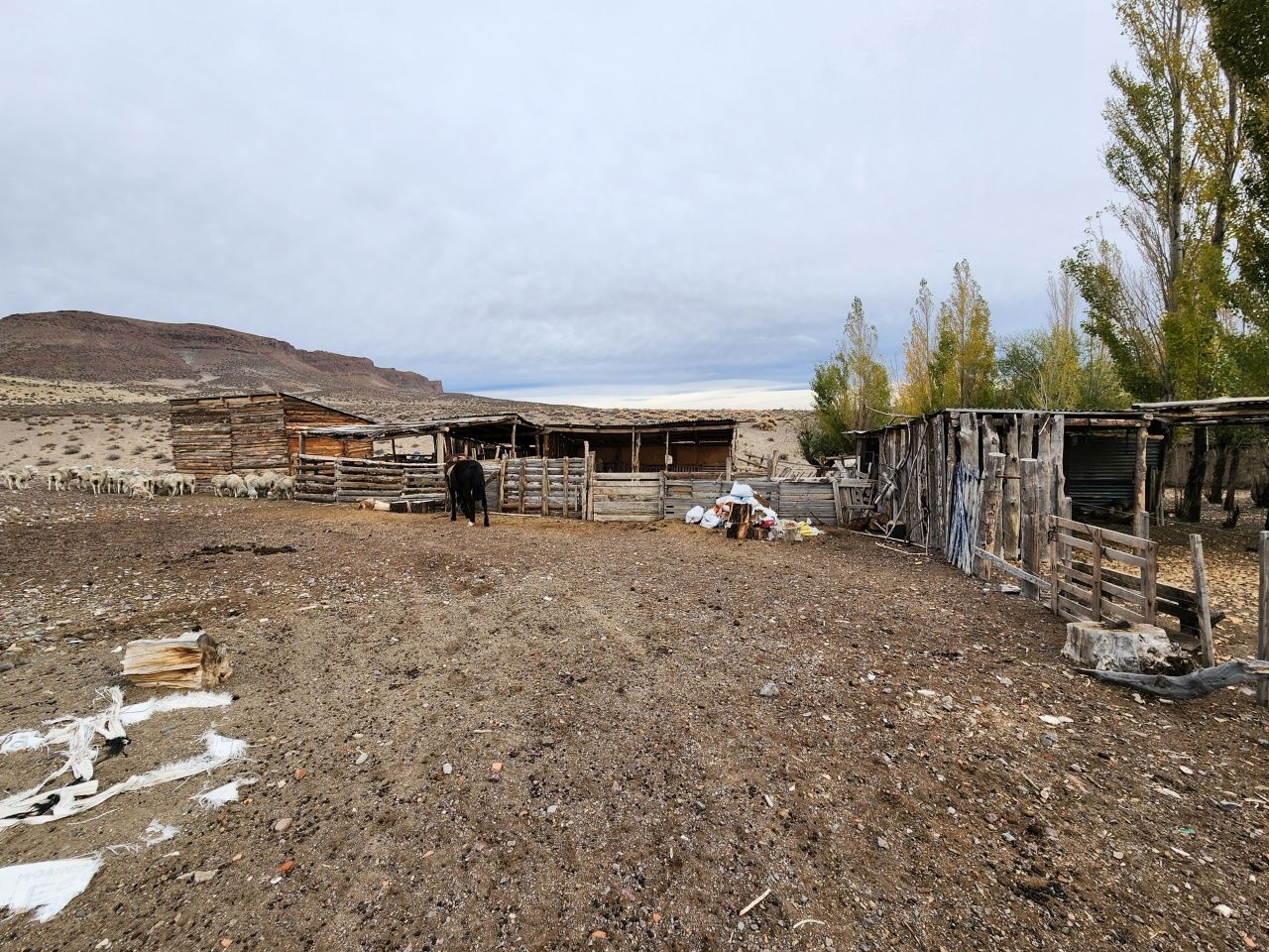 VENTA DE CAMPO EN Gualjaina - 43