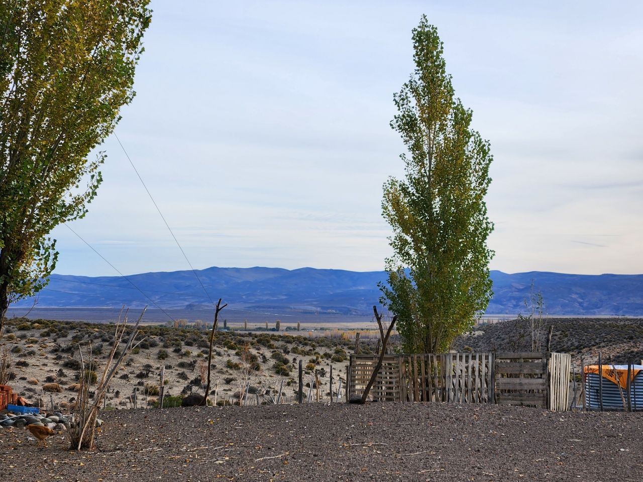 Campo EN VENTA