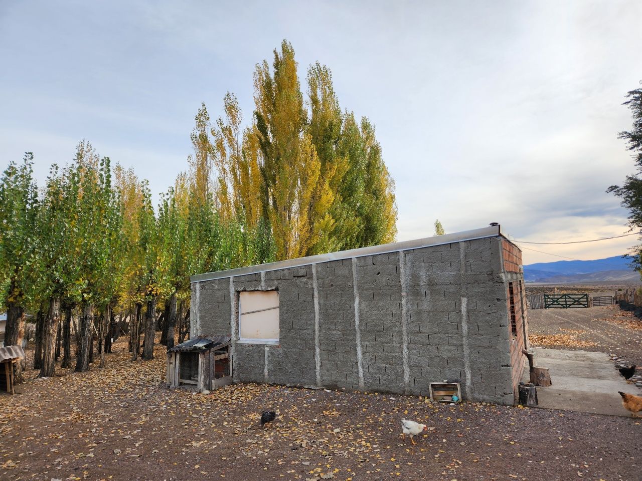 Campo EN VENTA