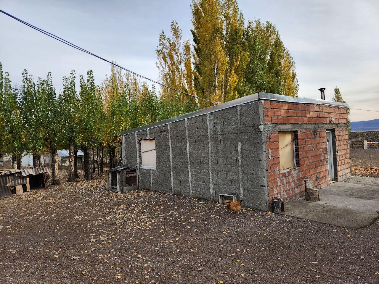 Campo EN VENTA