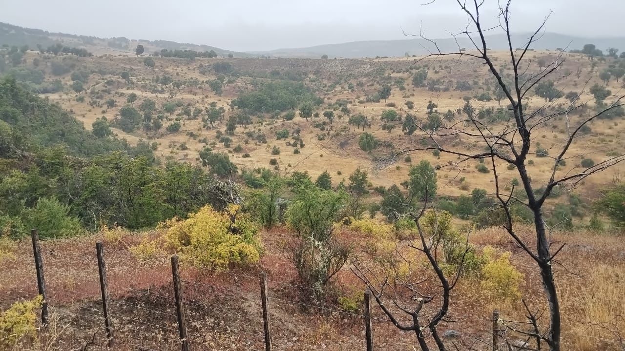 Campo EN VENTA