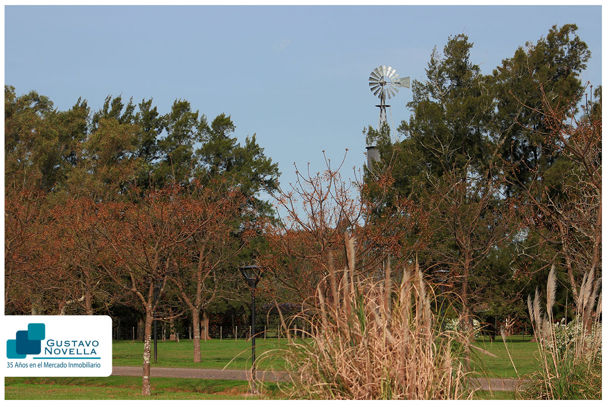 Lote EN VENTA