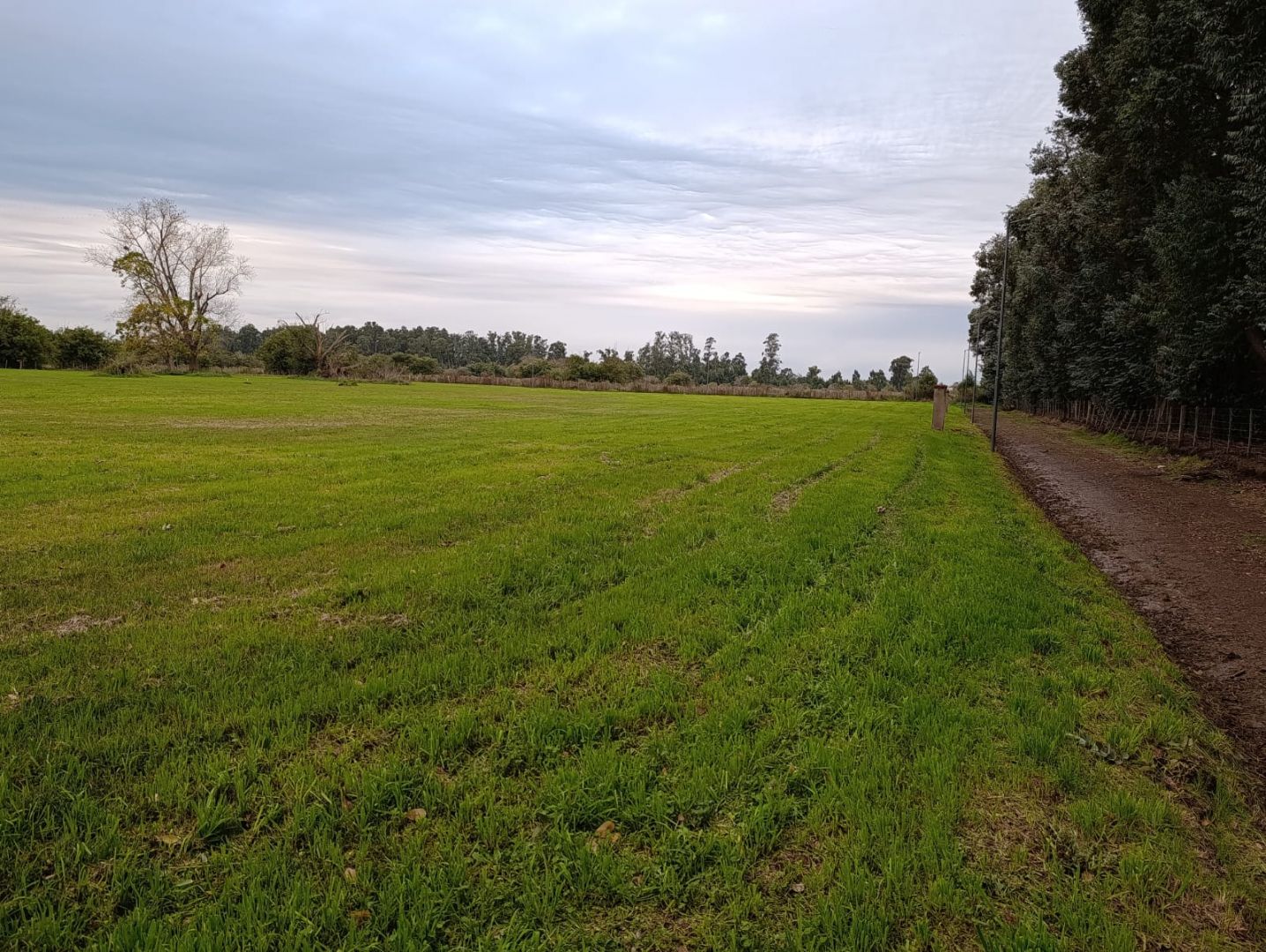 Lote EN VENTA