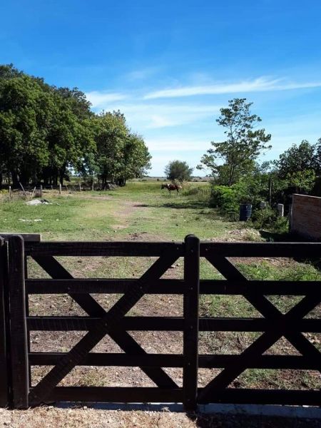 Lote EN VENTA