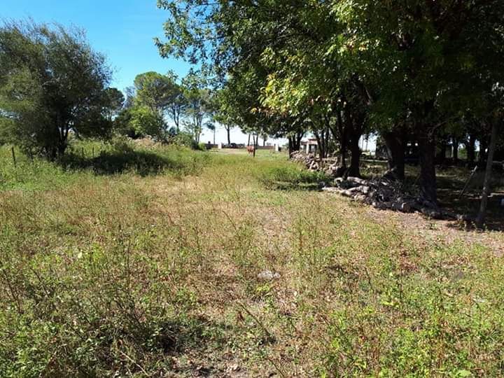 Lote EN VENTA