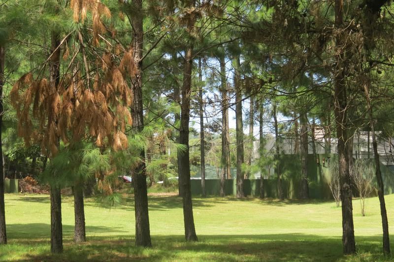 Lote EN VENTA