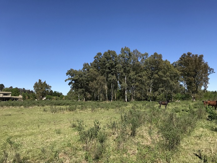 Lote EN VENTA