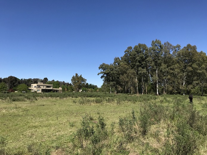 Lote EN VENTA