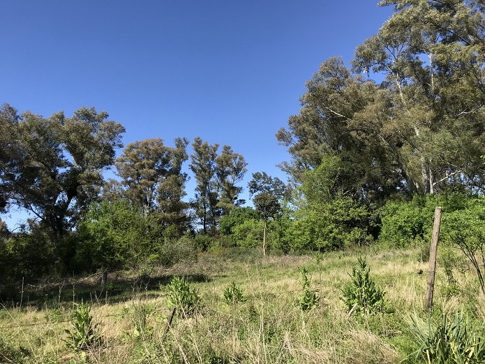 Lote EN VENTA