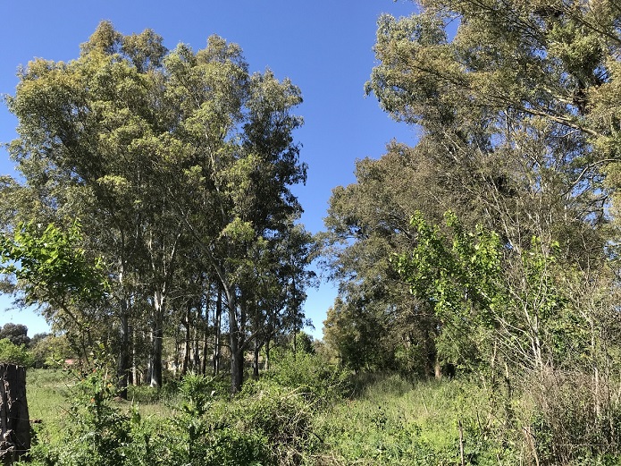 Lote EN VENTA