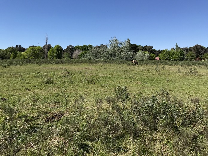 Lote EN VENTA