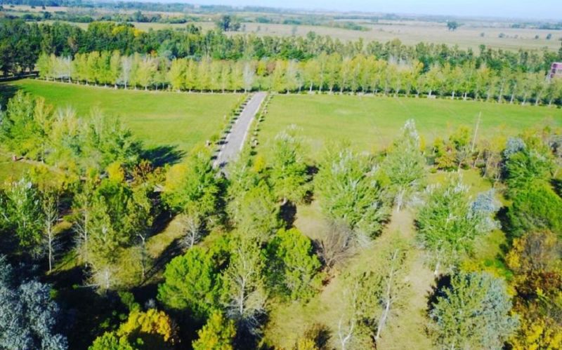 VENTA DE LOTE EN San Antonio de Areco - San Antonio de Areco - 5