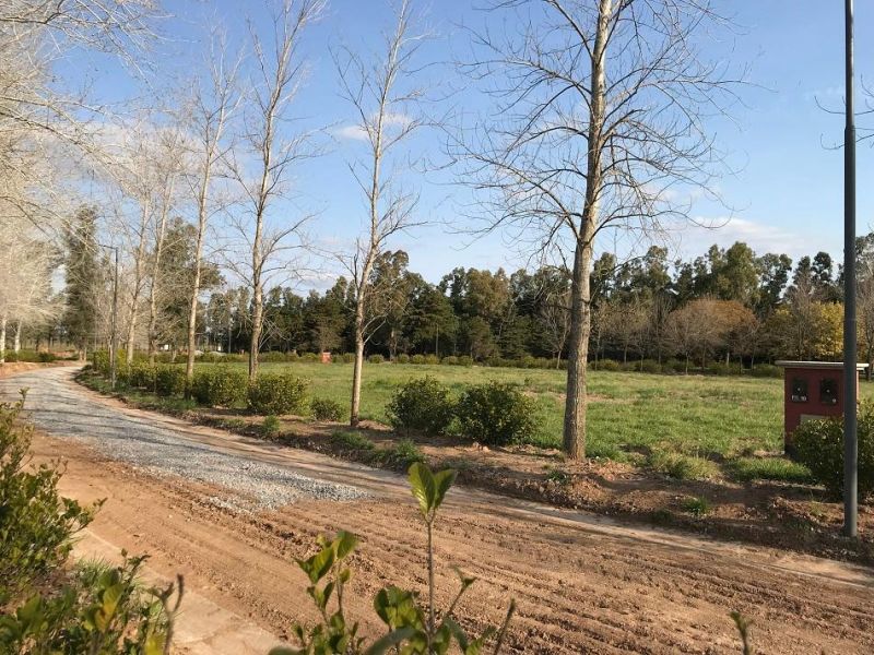 VENTA DE LOTE EN San Antonio de Areco - San Antonio de Areco - 6