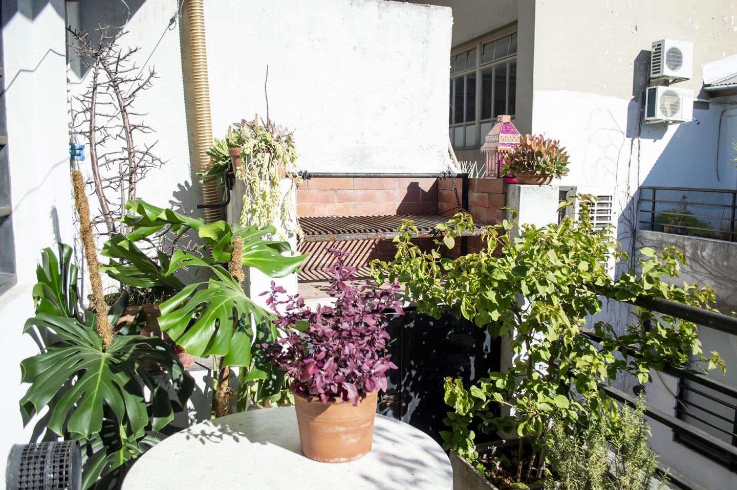 VENTA DE DEPARTAMENTO EN Capital Federal - Colegiales - 26