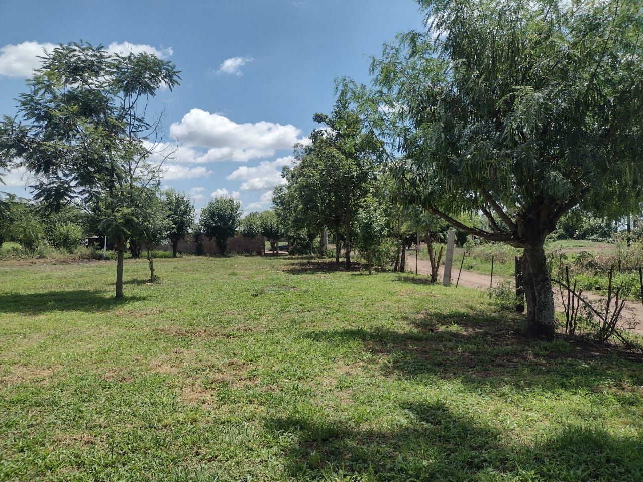 Campo EN VENTA