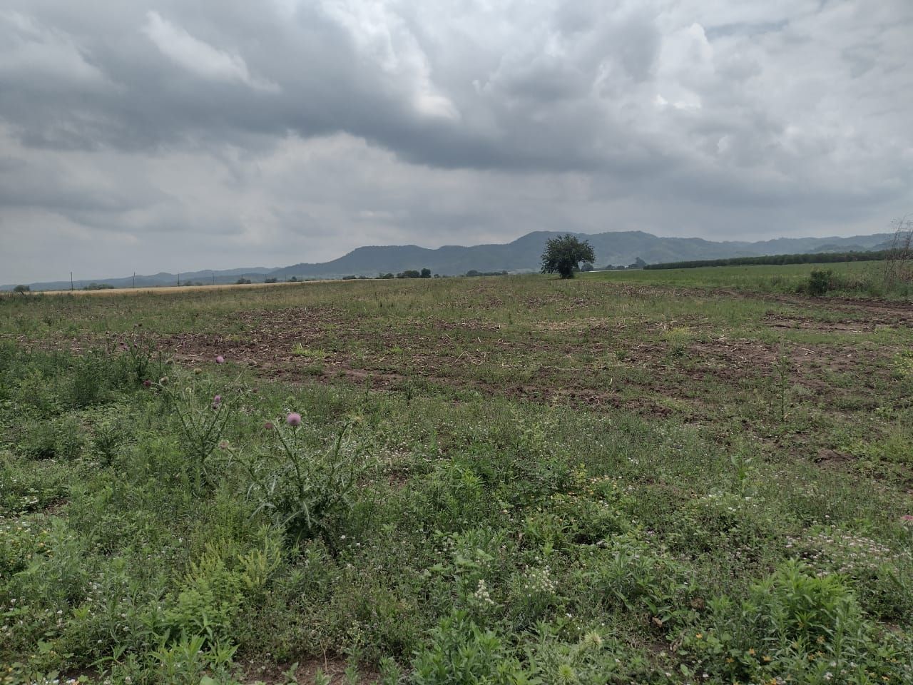 Campo EN VENTA
