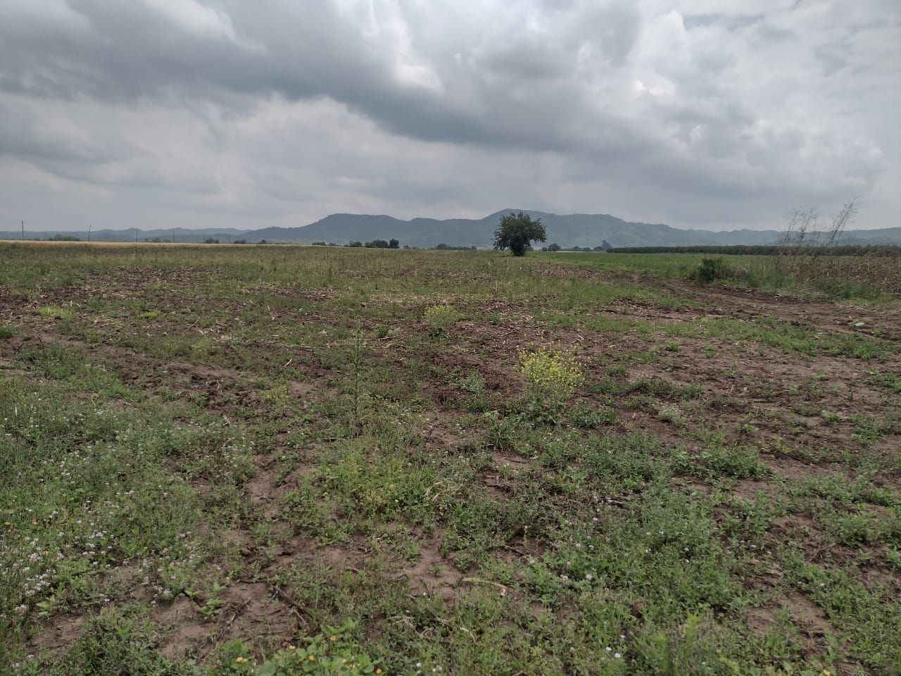Campo EN VENTA