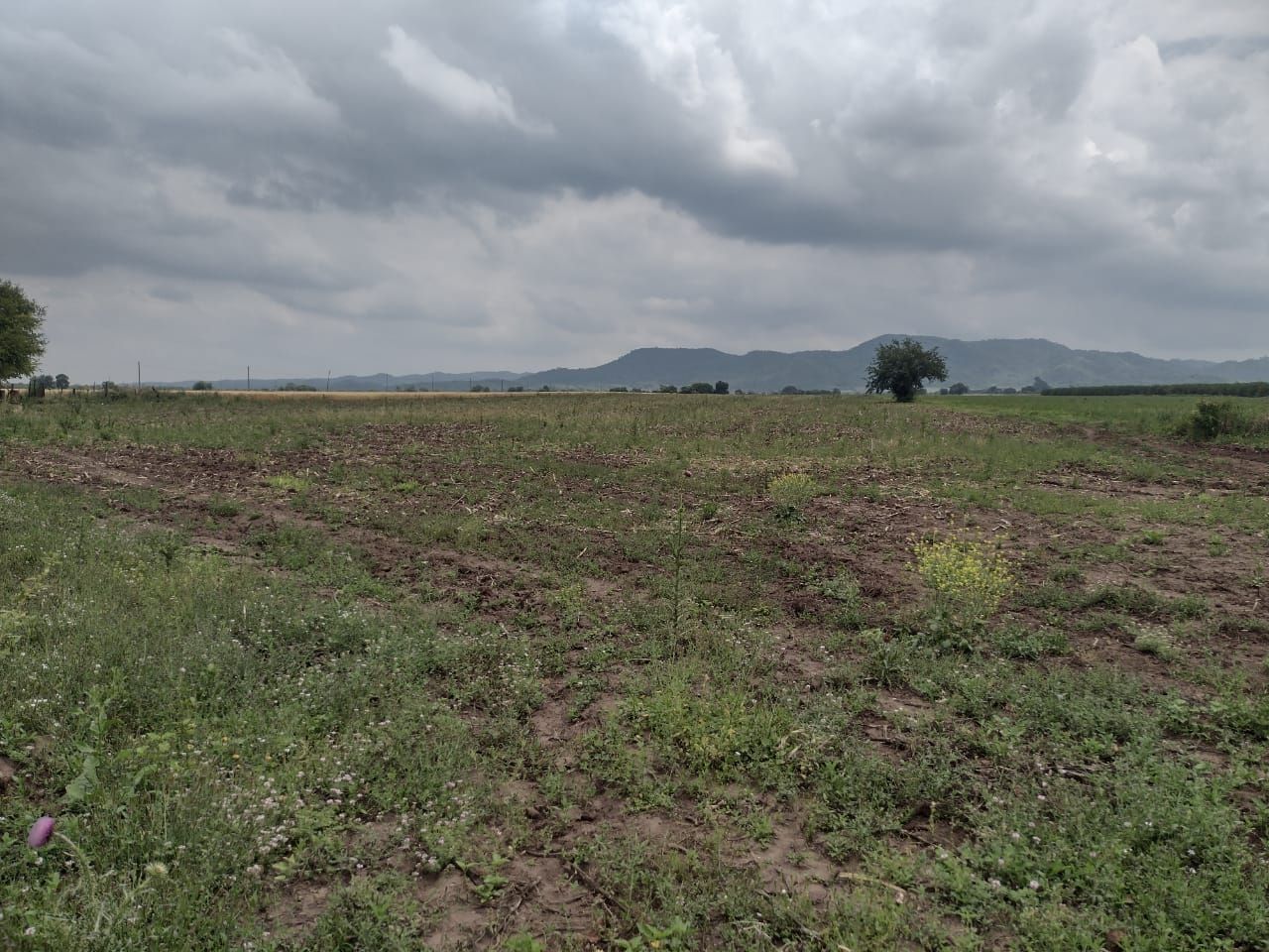 Campo EN VENTA