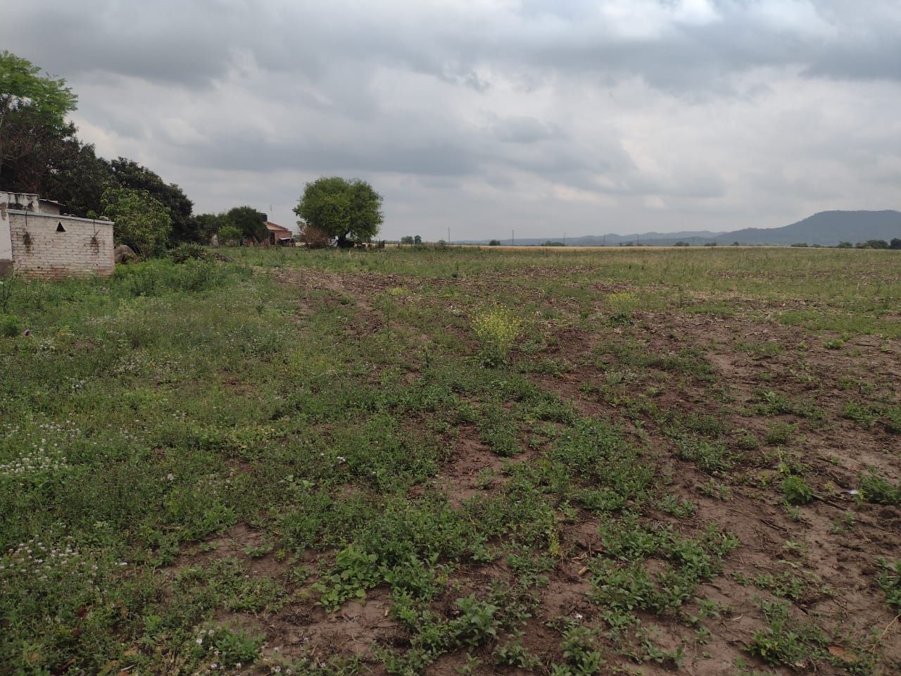 Campo EN VENTA