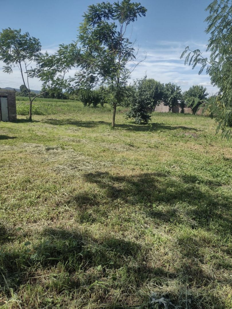 Campo EN VENTA