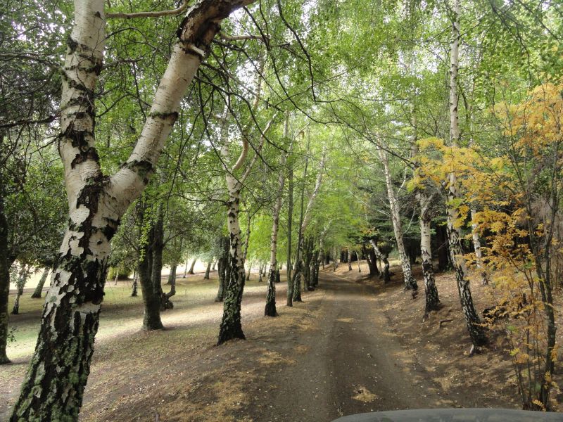 Foto 11