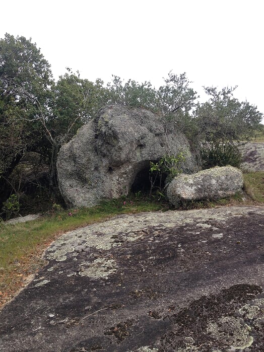 Campo EN VENTA
