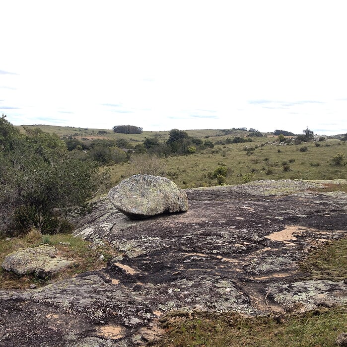 Campo EN VENTA
