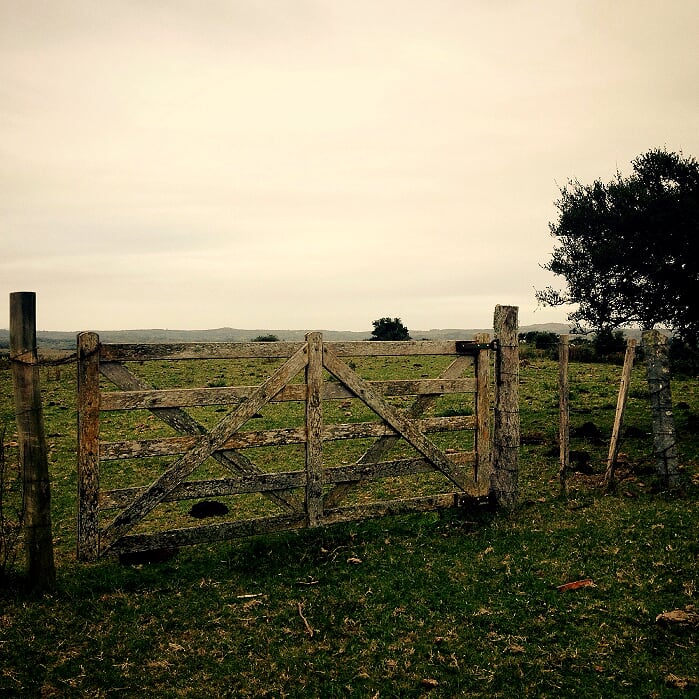 Campo EN VENTA