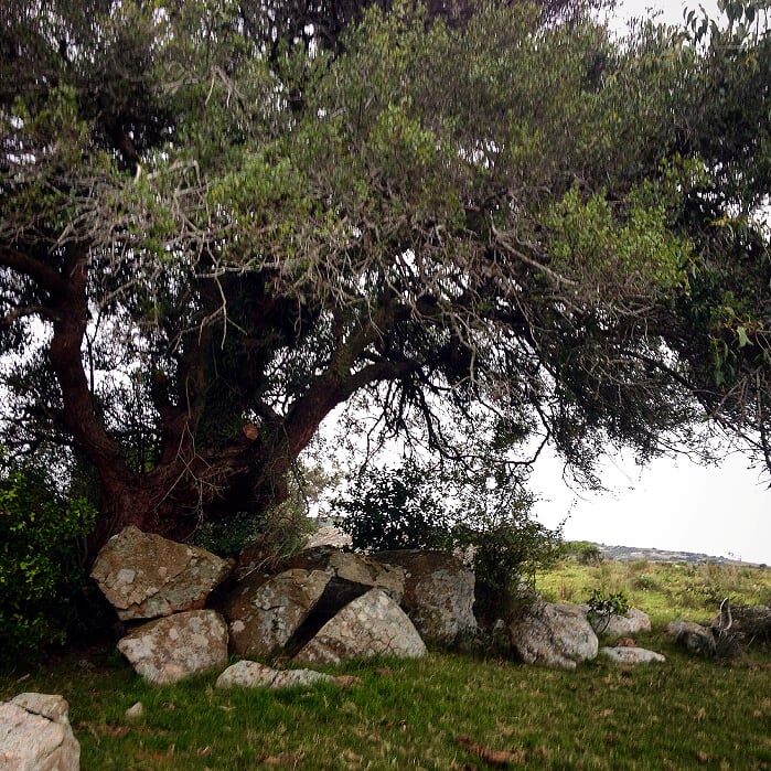 Campo EN VENTA