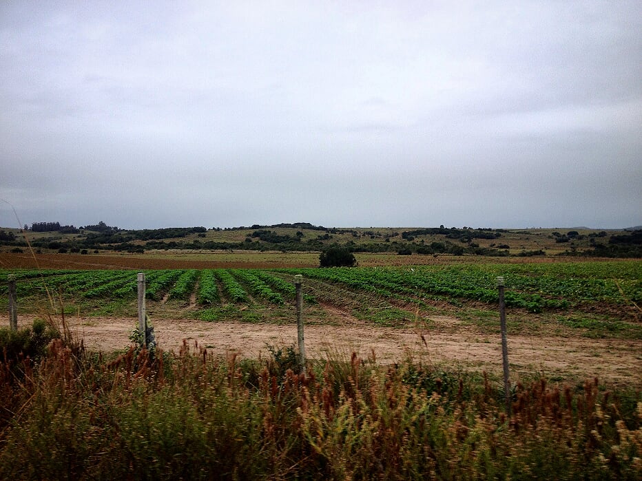 Campo EN VENTA