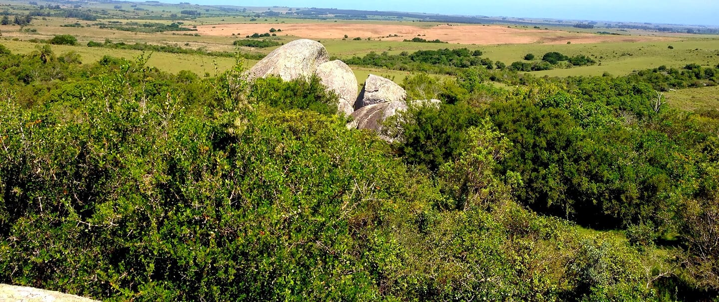 Campo EN VENTA