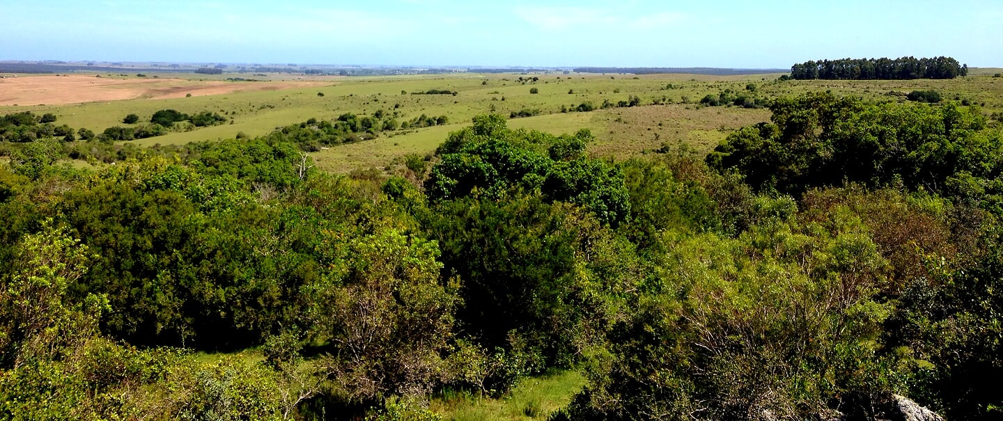 Campo EN VENTA