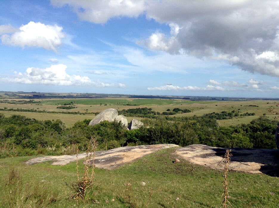 Campo EN VENTA
