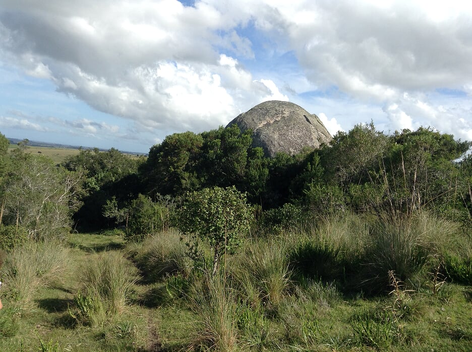 Campo EN VENTA