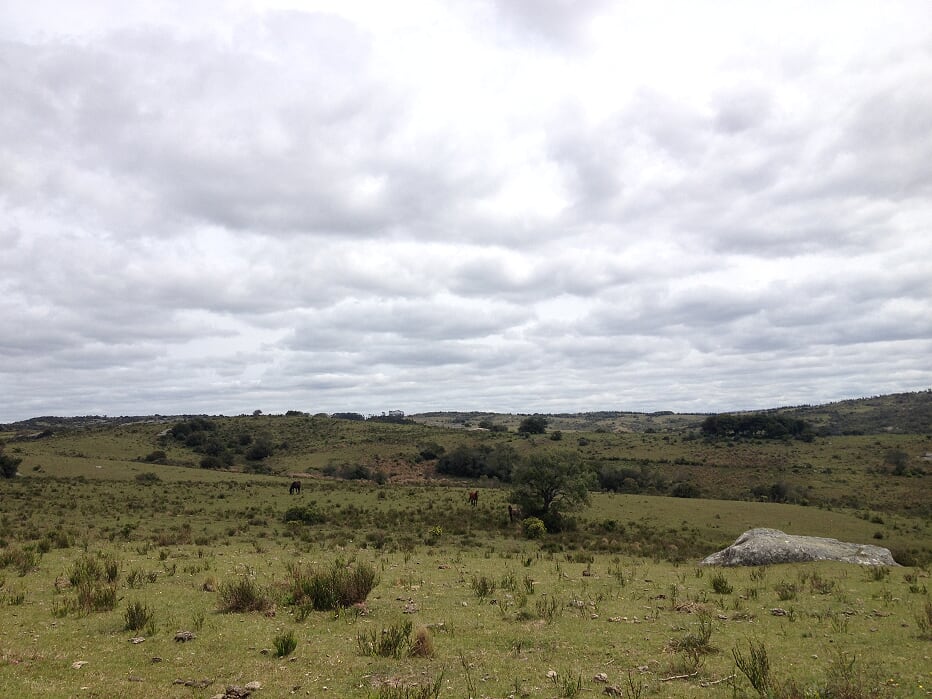 Campo EN VENTA