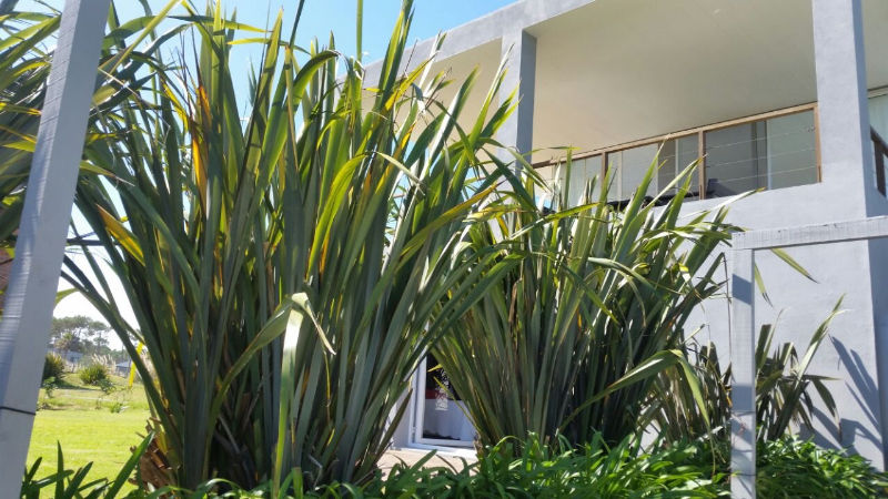 Casa EN VENTA Y ALQUILER