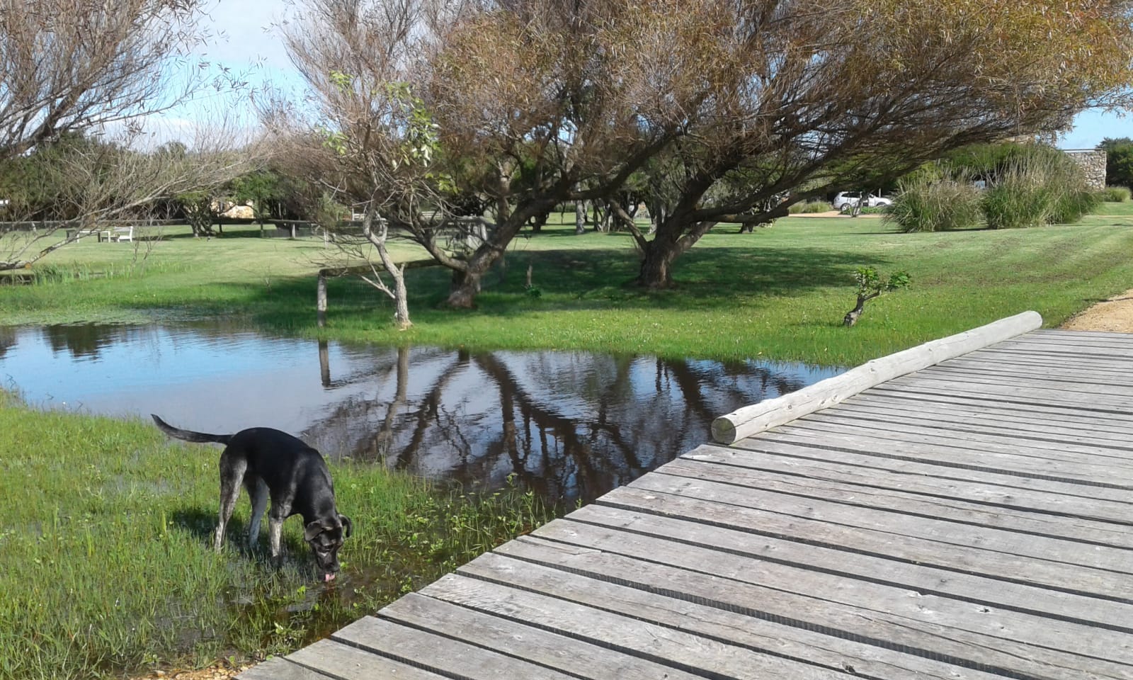 Quinta EN ALQUILER TEMPORARIO