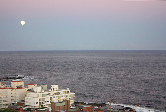Departamento EN VENTA Y ALQUILER