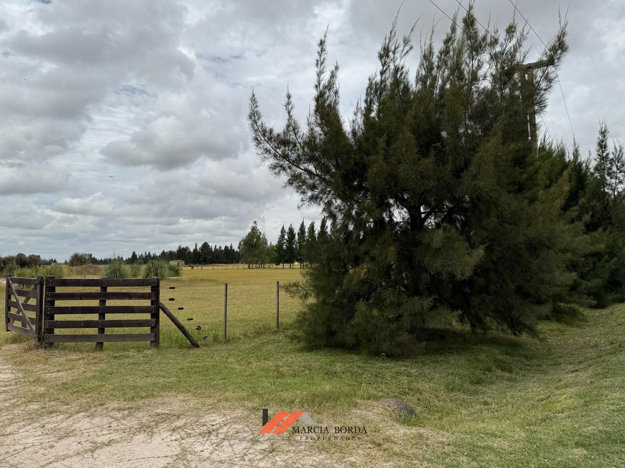 Lote EN VENTA